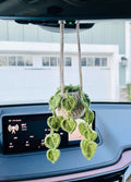 Car Flower Hanger