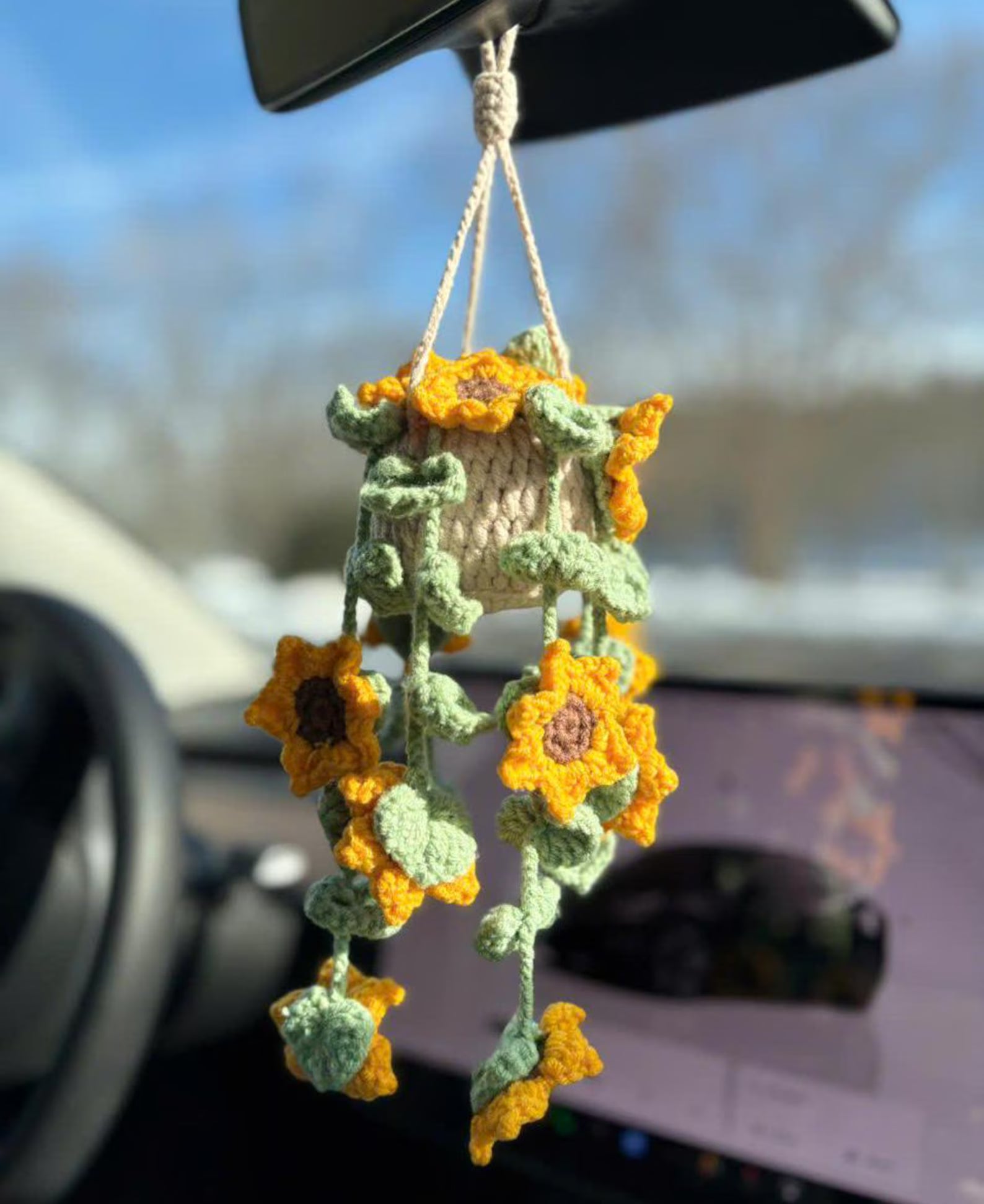 Car Hanger