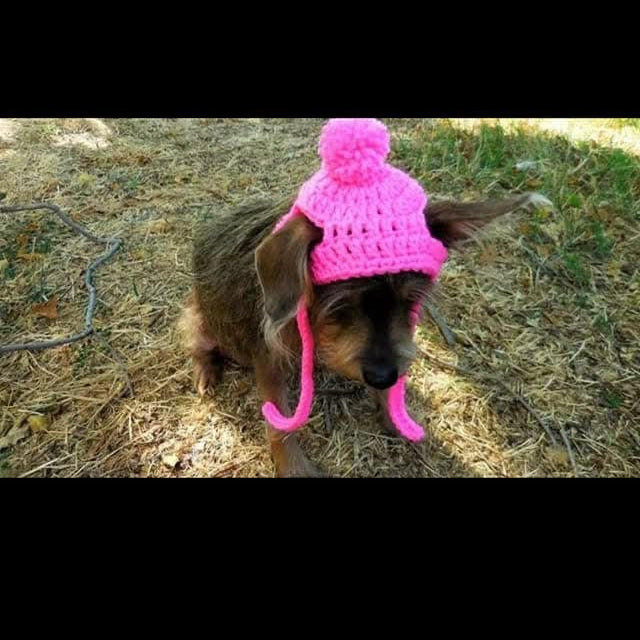 Crochet Animal Hat